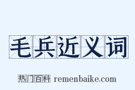 毛兵近义词是什么意思的图片